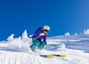 开云平台-橙色堤坝溃于皇家铁骑，阿拉巴刷新纪录之夜，荷兰足球的战术迷思与新生代冲击