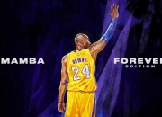 开云下载-跨界篮球狂想，广厦强势晋级湖人队，库里进攻端化身无解神话