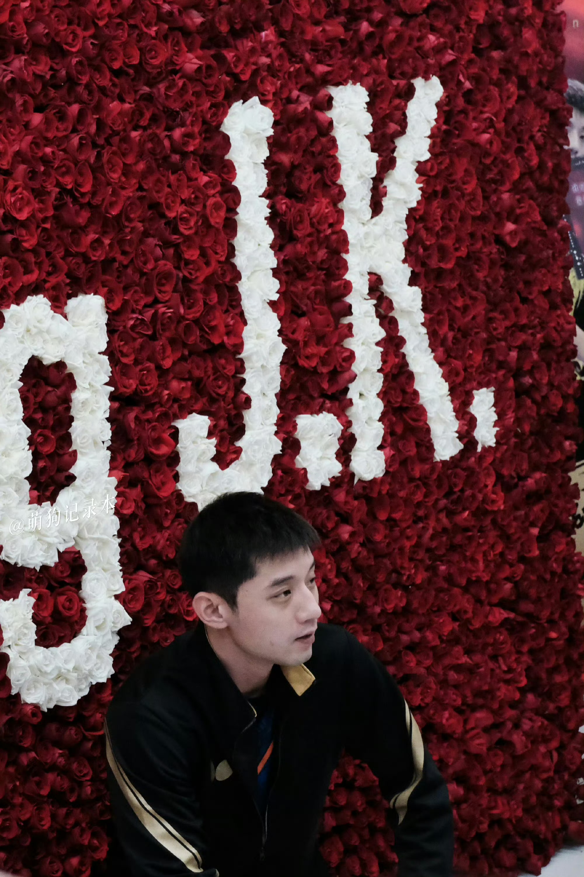 关于韩国乒乓球队碾压比利时乒乓球队，张继科送出助攻的信息