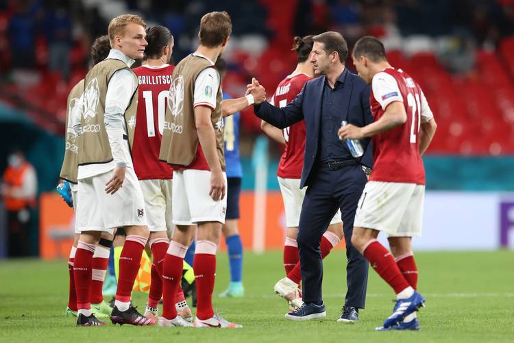 关于匈牙利队主场击败土耳其，晋级前景大好的信息