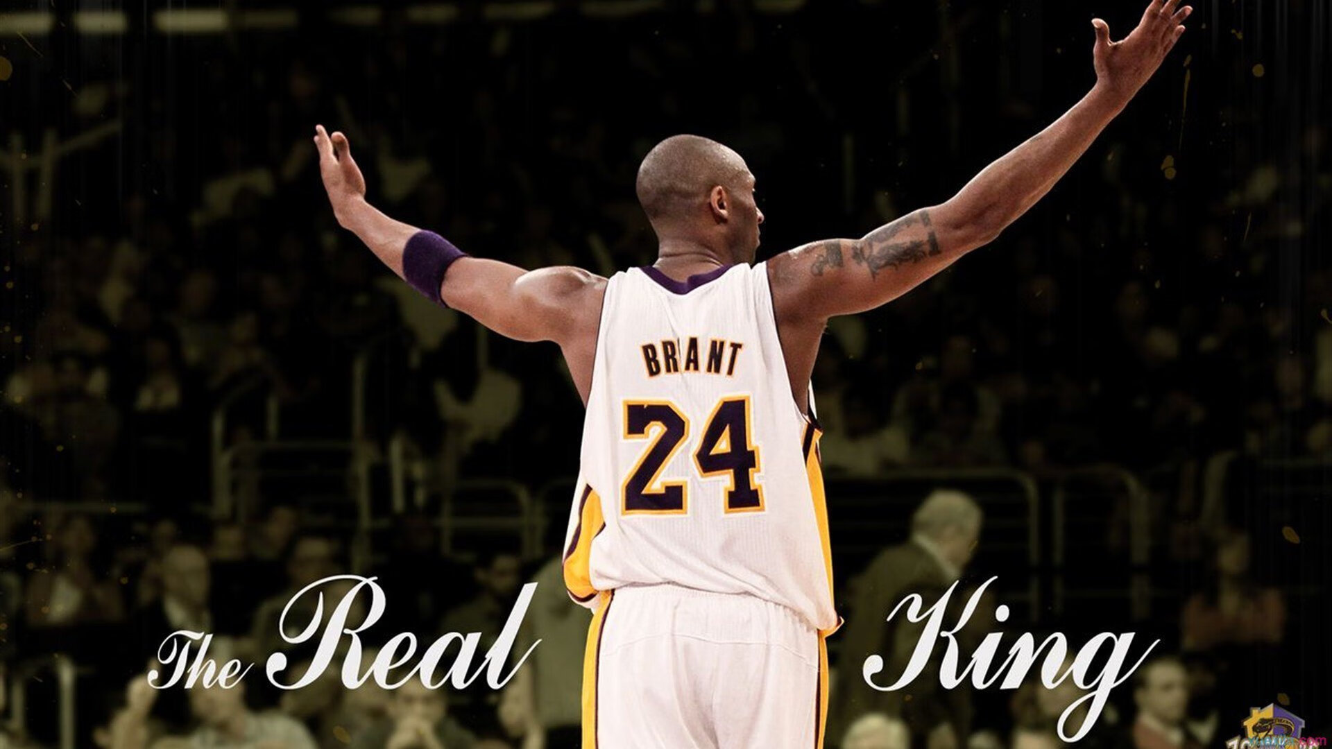 赛道上的篮球传奇，当约基奇在F1揭幕战接管比赛