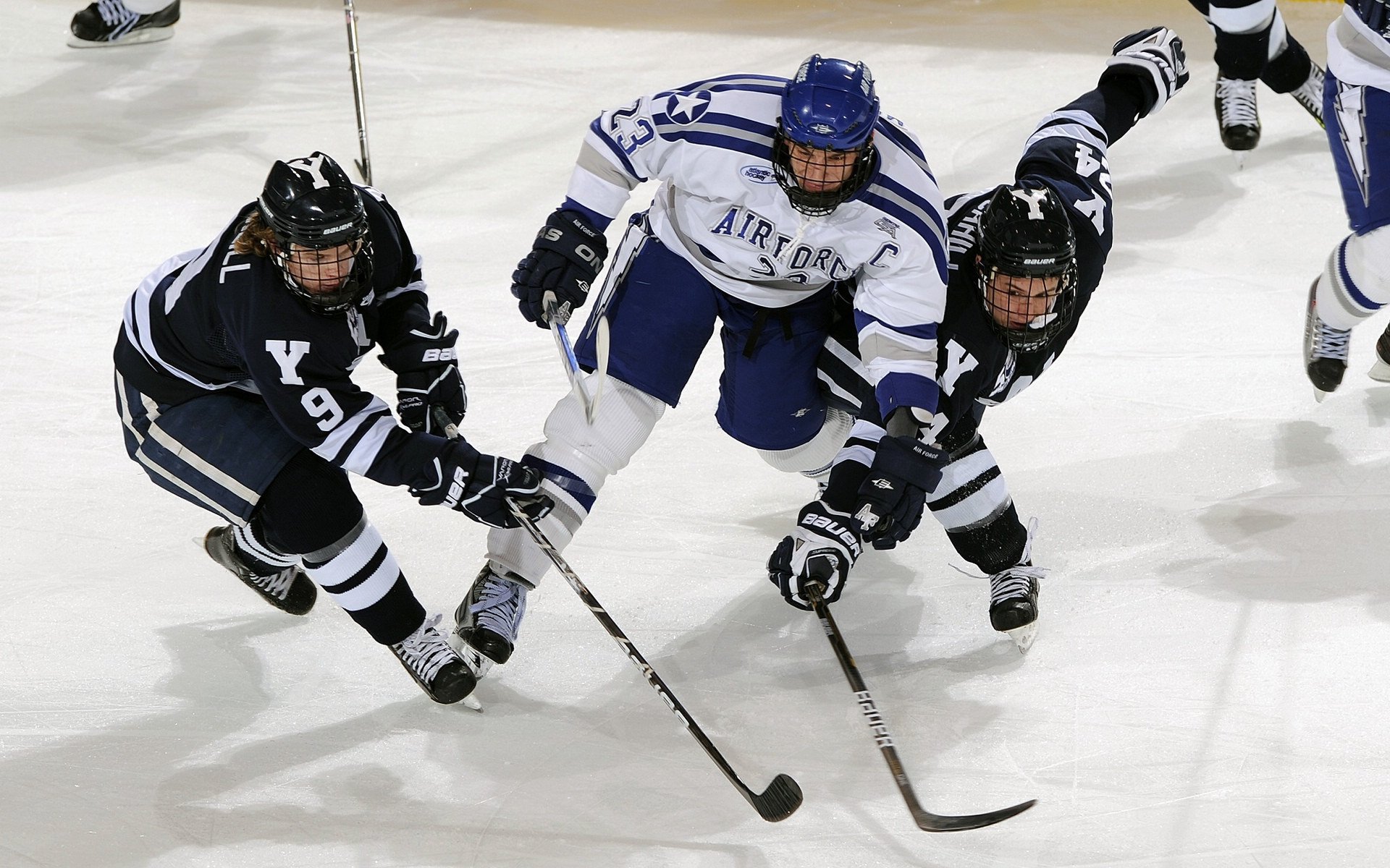 北境新王与卫冕之师，东决关键战，森林狼能否突围雄鹿？